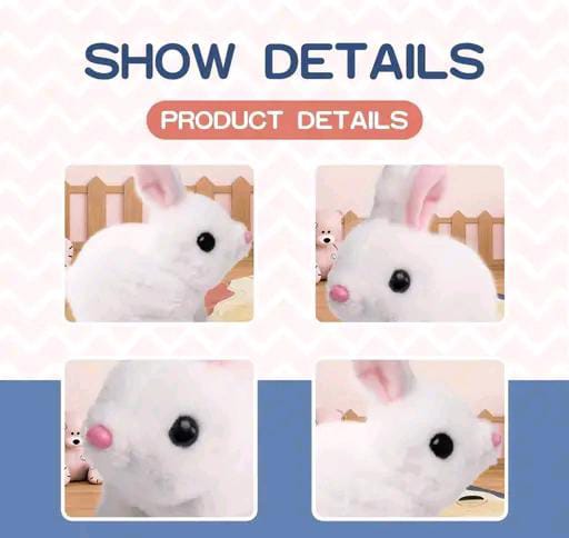Walking & Jumping Rabbit Toy with Sound for Kids